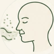 The Journey of the Aroma